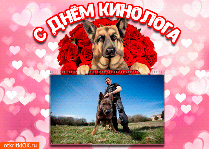 Картинка открытка с днём кинолога 21 июня