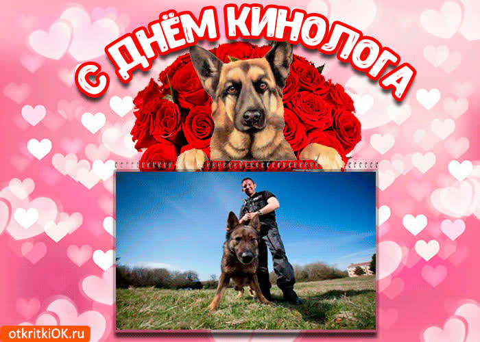 Картинка картинка с днём кинолога 21 июня