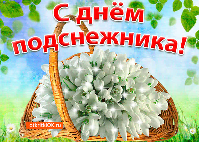 Картинка картинка с днём подснежника 19 апреля