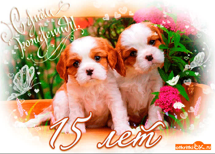 Картинка картинка с днём рождения 15 лет
