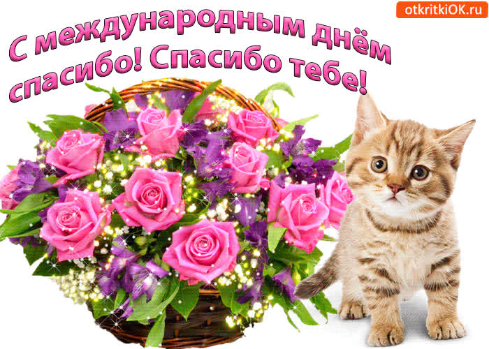 Картинка картинка с днём спасибо. спасибо тебе за всё!