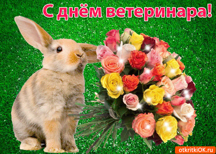 Картинка картинка с днём ветеринара