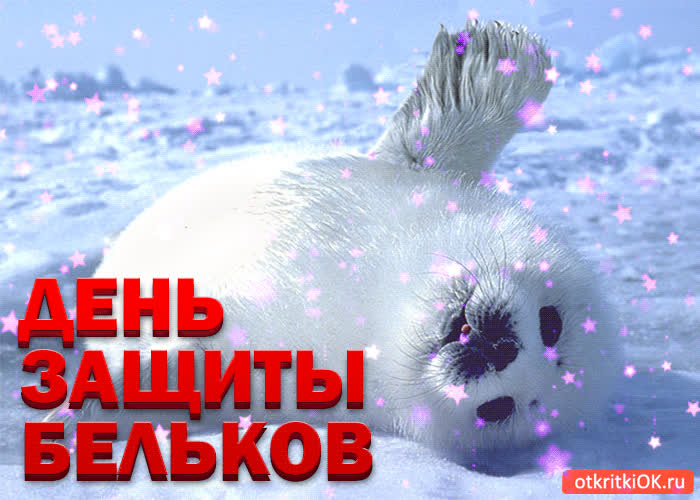 Картинка картинка с днём защиты бельков