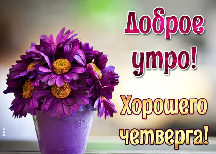 Открытка открытка с добрым утром четверга
