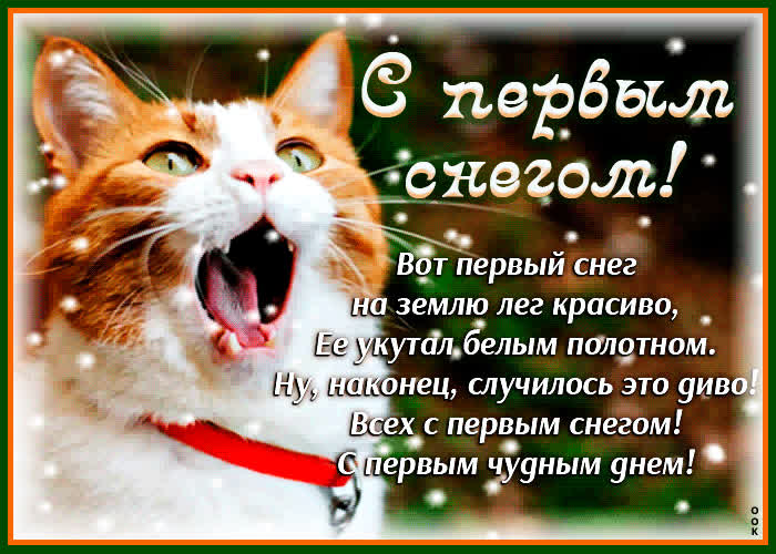 Картинка картинка с первым снегом со стихами