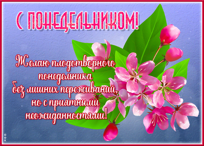 Открытка открытка с понедельником, без лишних переживаний