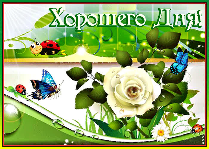 Картинка картинка с пожеланием хорошего дня