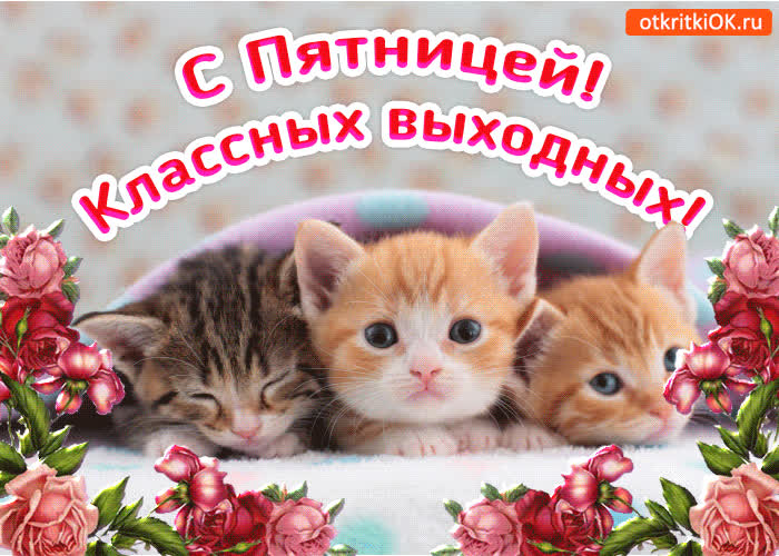 Картинка картинка с пятницей! классных выходных!