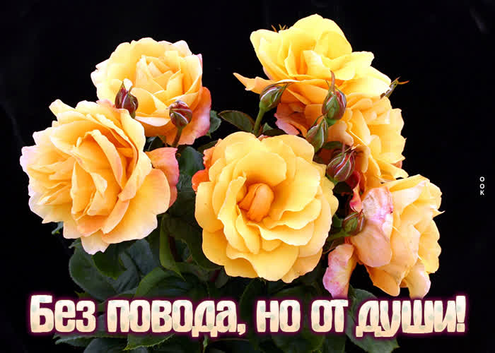 Картинка открытка с цветами любимой