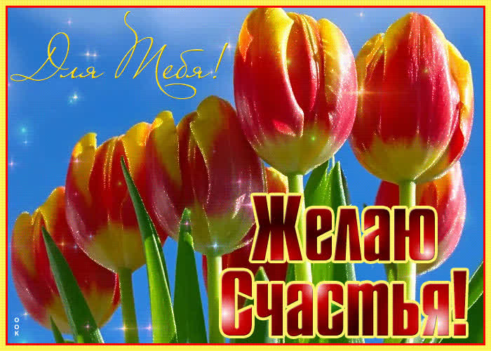 Картинка красивая картинка женщине анимация