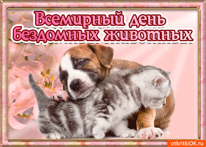 Картинка картинка с всемирным днём бездомных животных