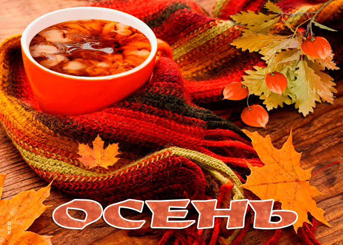 Картинка счастливой осени!