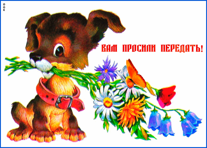Открытка вам просили передать