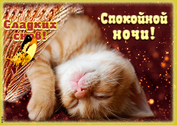 Картинка открытка спокойной ночи со спящим котиком