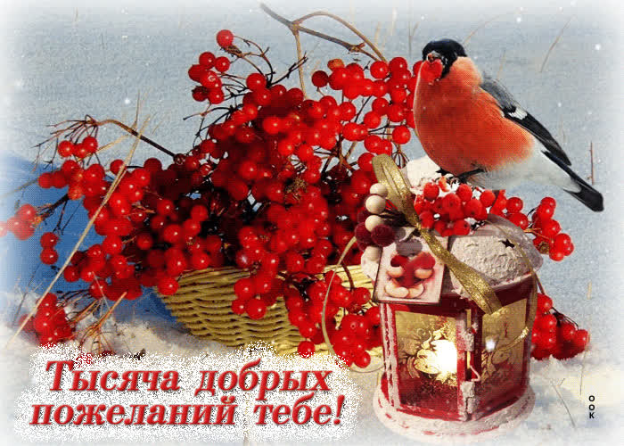 Picture открытка тысяча добрых пожеланий тебе