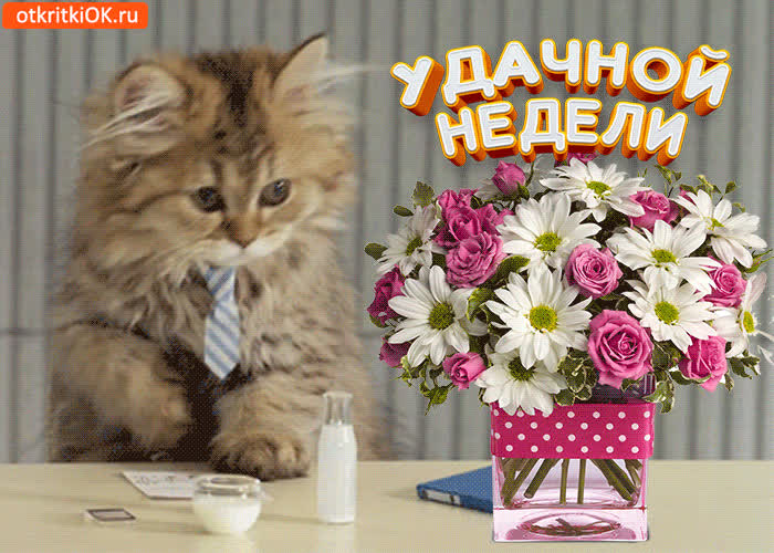 Картинка картинка удачной недели