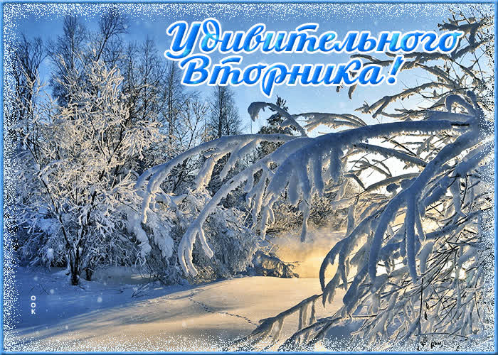 Открытка открытка удивительного вторника