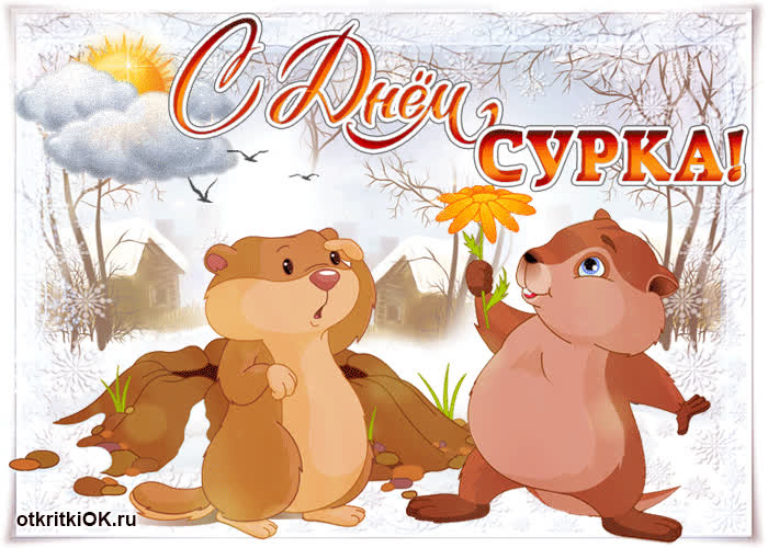 Картинка картинка в день сурка