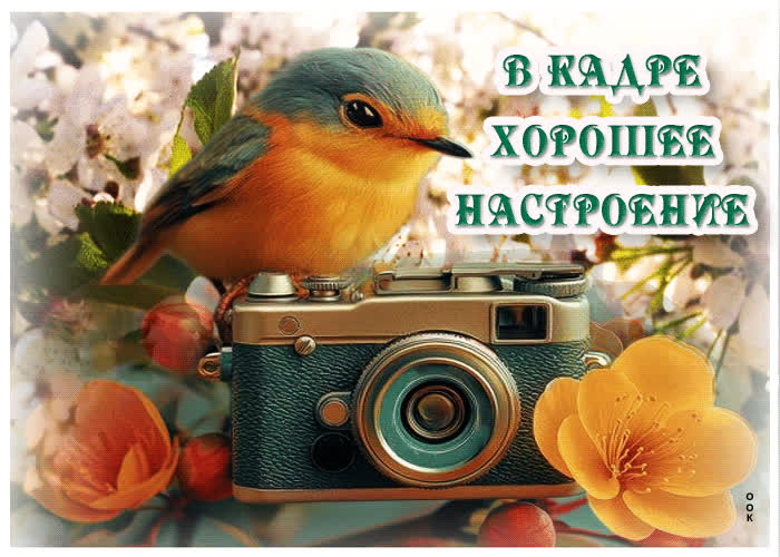 Postcard открытка в кадре хорошее настроение