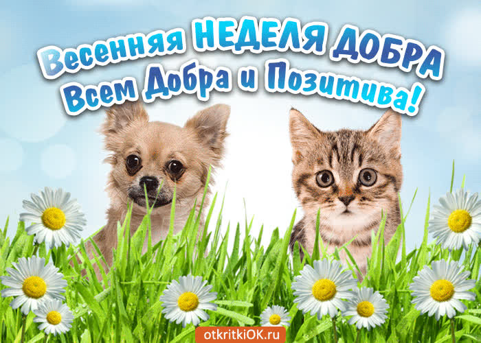 Картинка картинка весенняя неделя добра