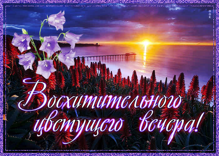 Картинка открытка восхитительного цветущего вечера