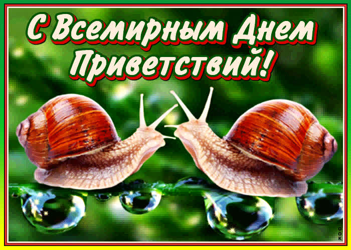 Картинка картинка всемирный день приветствий с анимацией