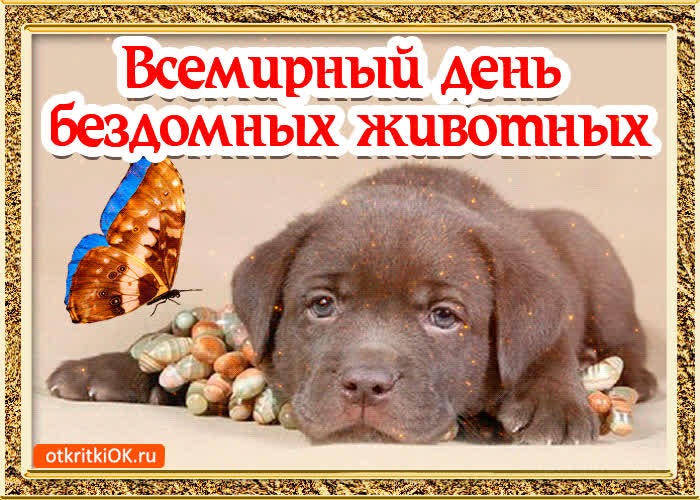 Картинка картинка всемирный день животных