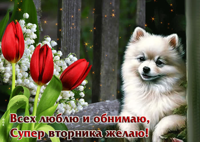 Picture открытка всех люблю и обнимаю, супер вторника желаю