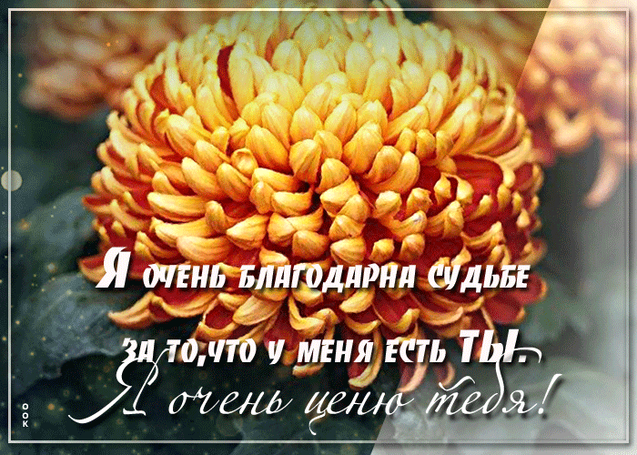 Открытка открытка я очень благодарна судьбе за то, что у меня есть ты