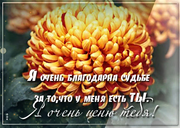 Открытка открытка я очень благодарна судьбе за то, что у меня есть ты