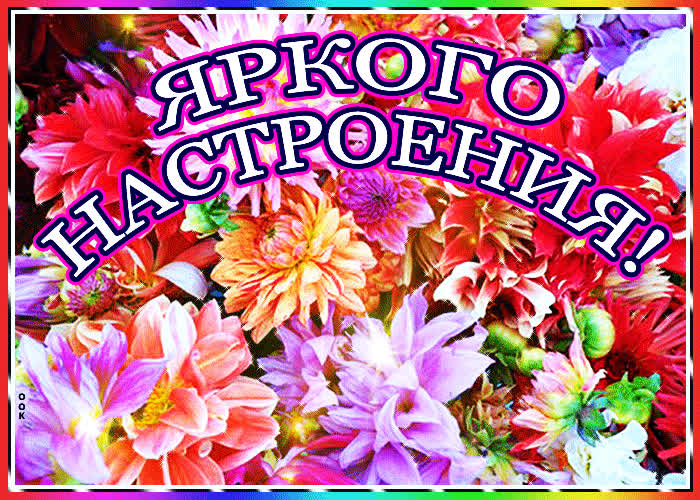 Картинка открытка яркого настроения