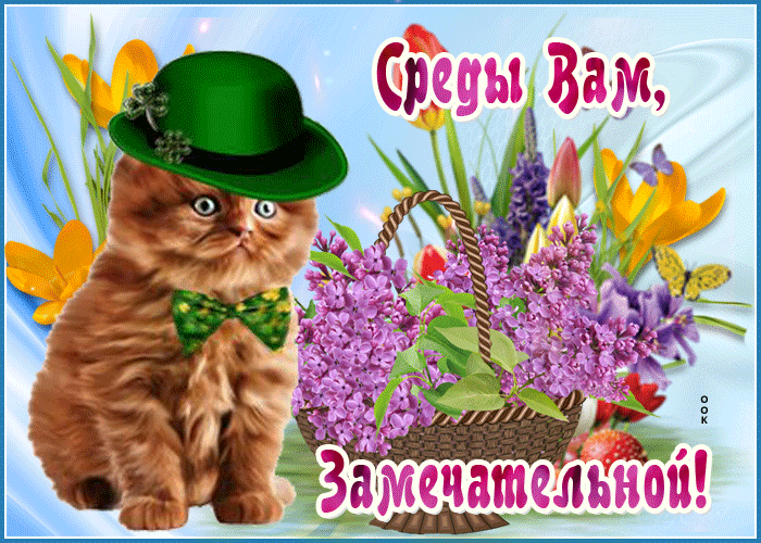 Картинка открытка замечательной среды