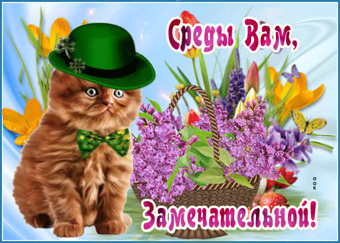 Картинка открытка замечательной среды