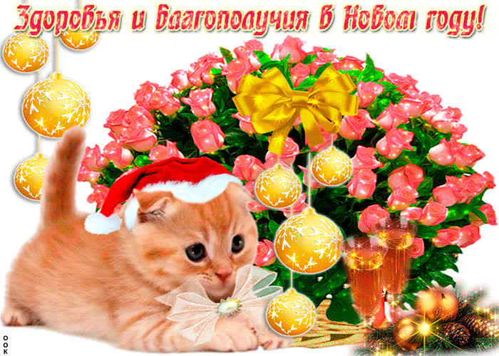 Картинка картинка здоровья и благополучия в новом году