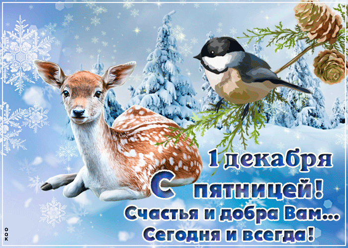Postcard открытки 1 декабря
