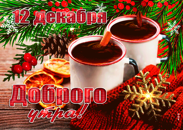 Postcard открытки 12 декабря