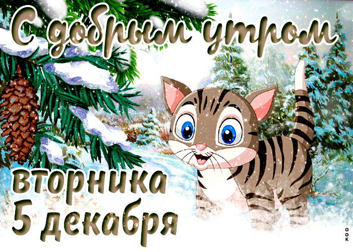 Postcard открытки 5 декабря