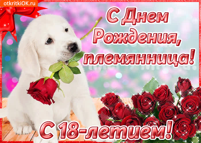Картинка открытки с 18-летием племяннице