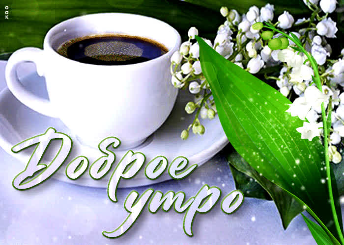 Открытка отличная открытка доброе утро с цветами