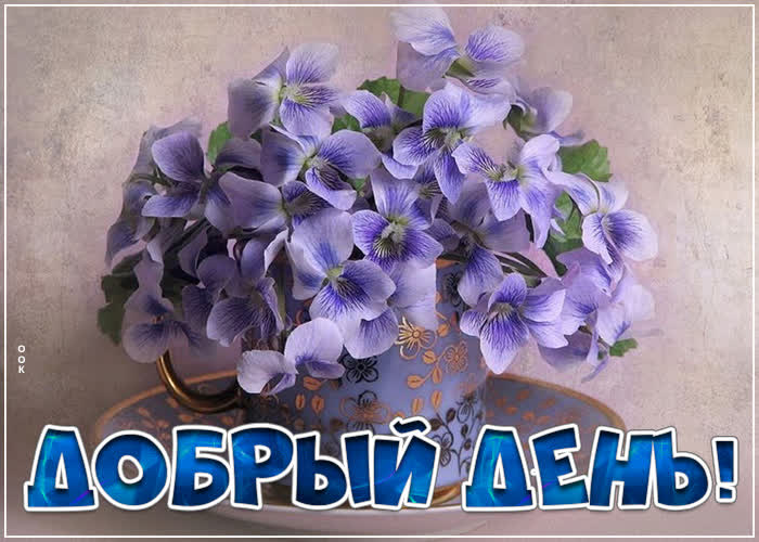 Картинка отличная открытка добрый день