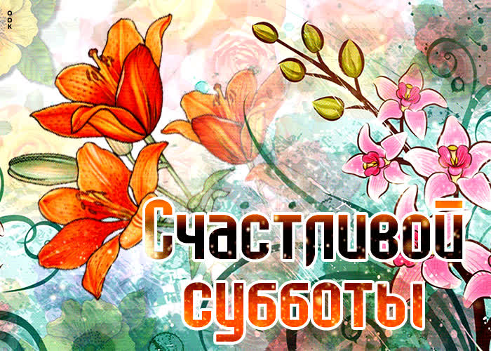 Картинка отличная открытка счастливой субботы с цветком
