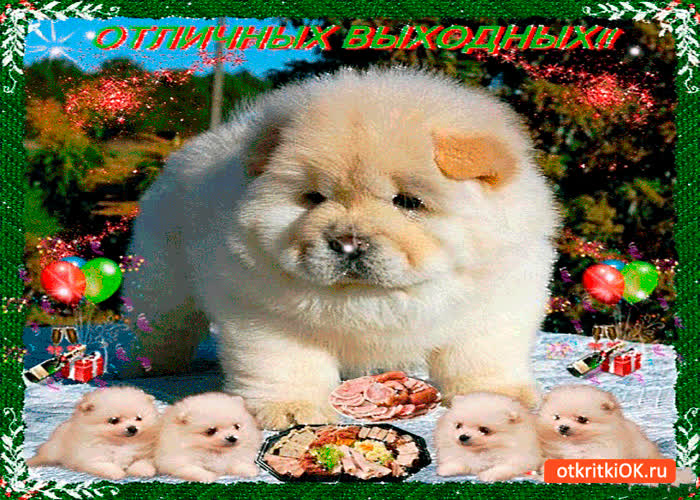 Картинка отличных выходных