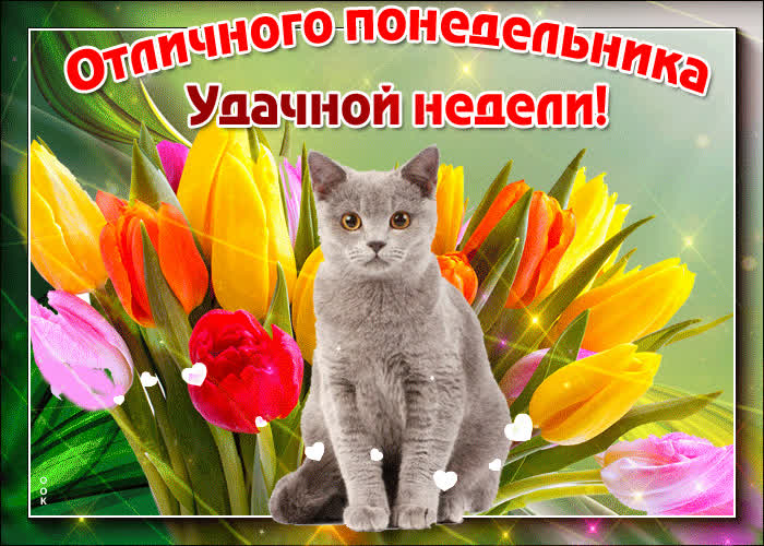 Картинка отличного понедельника, удачной недели