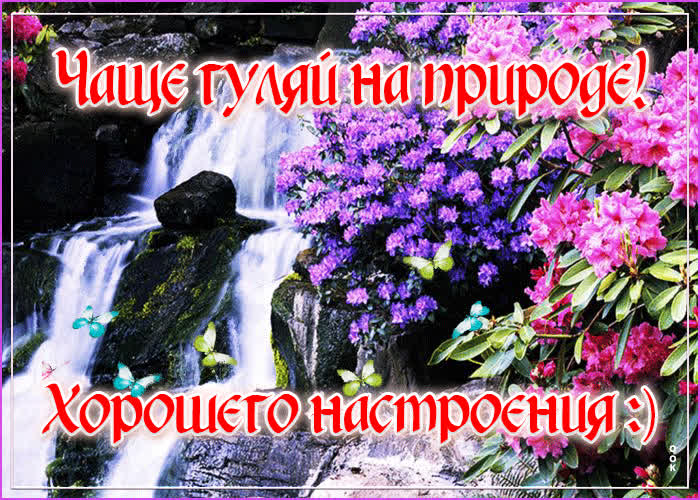 Картинка отличного весеннего настроения