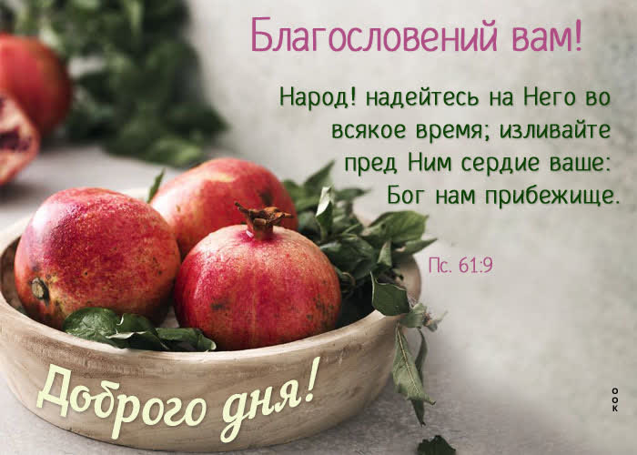 Picture отличная картинка доброго дня! благословений вам!