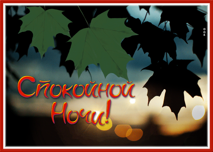Picture отличная открытка с листвой спокойной ночи!