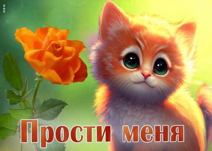 Picture отличная открытка с рыжим котенком прости меня