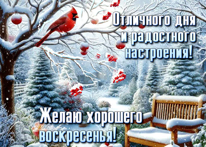 Picture отличного дня и радостного настроения! желаю хорошего воскресенья