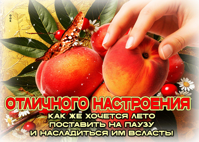 Postcard отличного настроения! как же хочется поставить лето на паузу