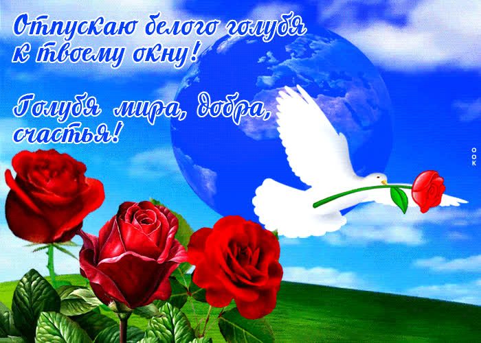 Postcard отпускаю белого голубя мира, добра и счастья к твоему окну